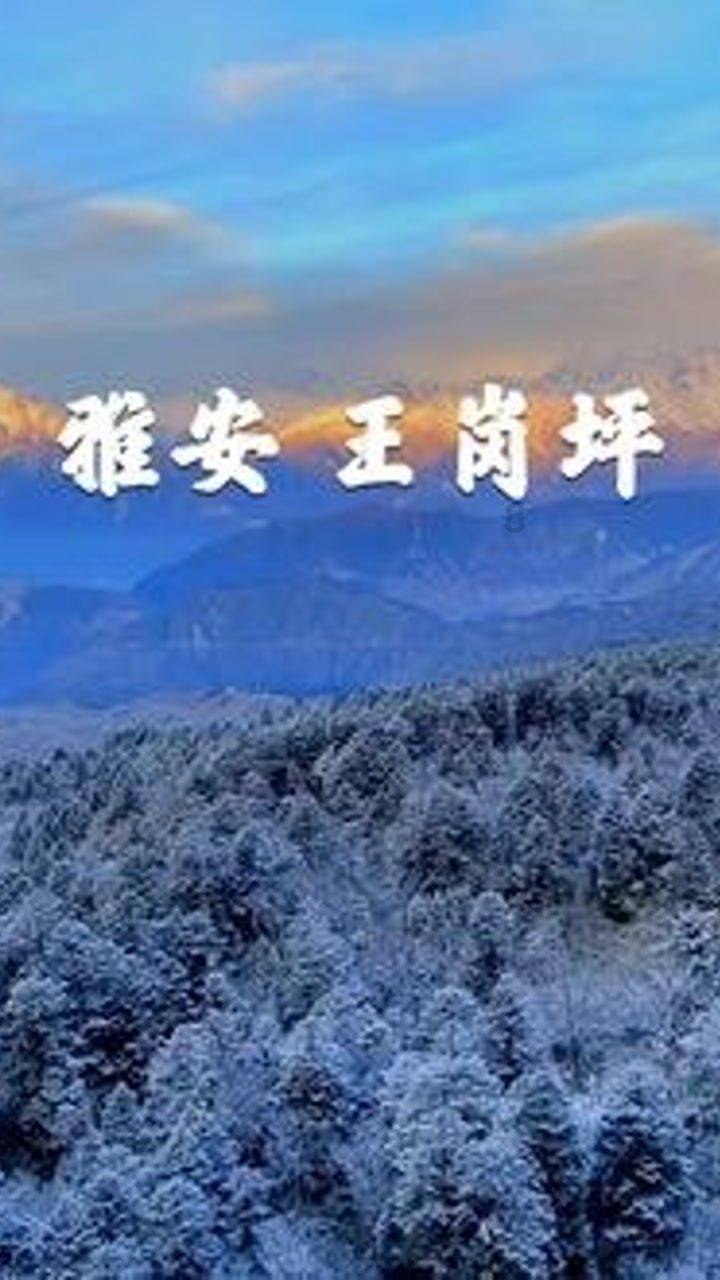 千年古墓出土奇特杯子,永远倒不满酒,专家检测后惊叹不已